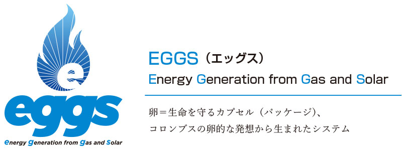 Lpガス 太陽光ハイブリッド発電システム Eggs エッグス 株式会社エネテク